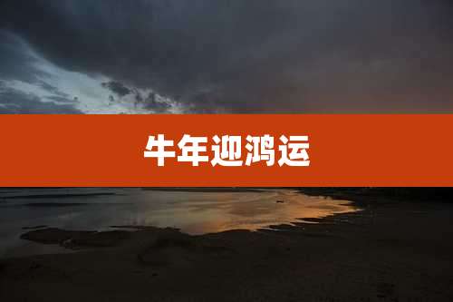 牛年迎鸿运