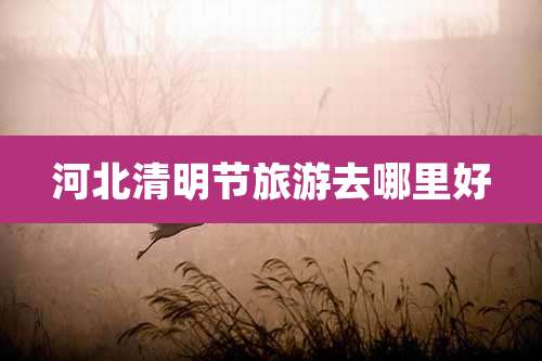 河北清明节旅游去哪里好