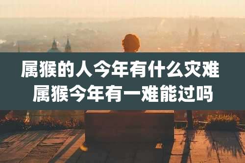属猴的人今年有什么灾难 属猴今年有一难能过吗