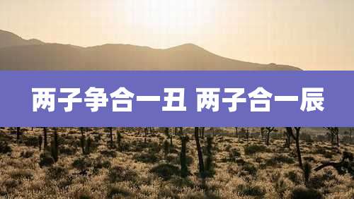 两子争合一丑 两子合一辰