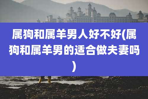 属狗和属羊男人好不好(属狗和属羊男的适合做夫妻吗)