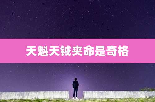 天魁天钺夹命是奇格