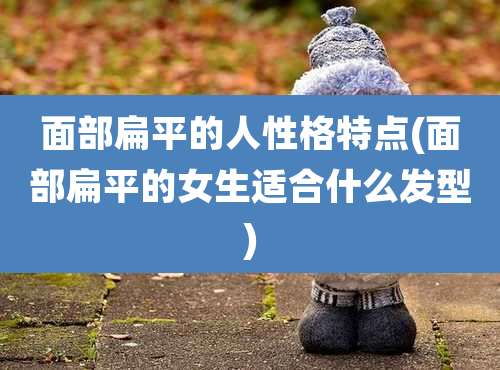 面部扁平的人性格特点(面部扁平的女生适合什么发型)