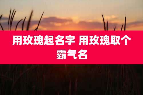 用玫瑰起名字 用玫瑰取个霸气名