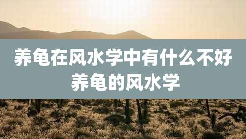 养龟在风水学中有什么不好 养龟的风水学