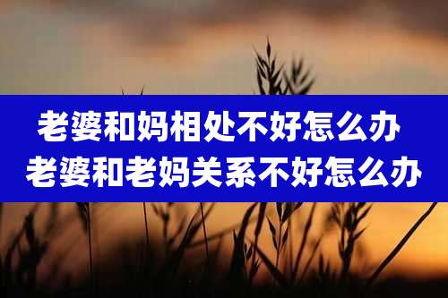 老婆和妈相处不好怎么办 老婆和老妈关系不好怎么办