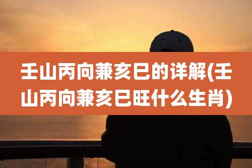 壬山丙向兼亥巳的详解(壬山丙向兼亥巳旺什么生肖)