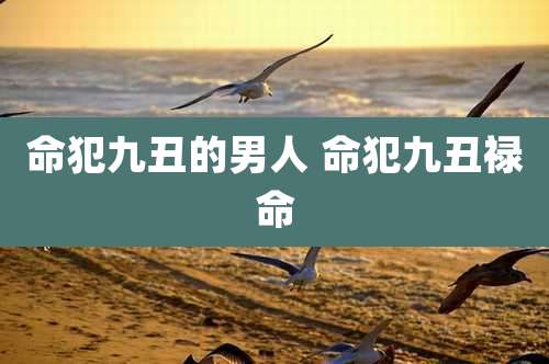 命犯九丑的男人 命犯九丑禄命
