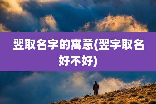 翌取名字的寓意(翌字取名好不好)