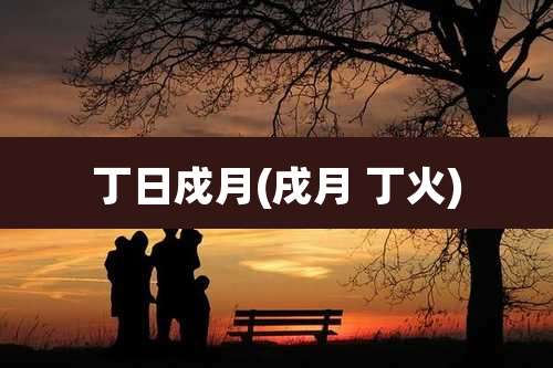 丁日戍月(戌月 丁火)
