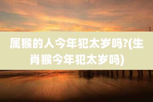 属猴的人今年犯太岁吗?(生肖猴今年犯太岁吗)