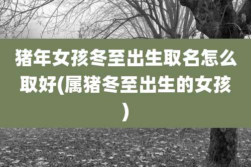 猪年女孩冬至出生取名怎么取好(属猪冬至出生的女孩)