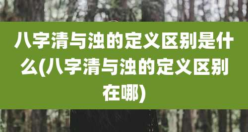 八字清与浊的定义区别是什么(八字清与浊的定义区别在哪)