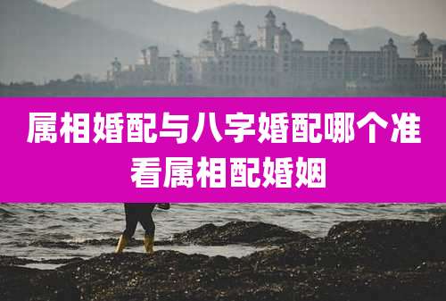 属相婚配与八字婚配哪个准 看属相配婚姻