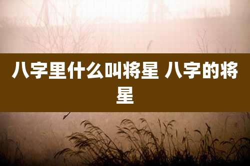 八字里什么叫将星 八字的将星
