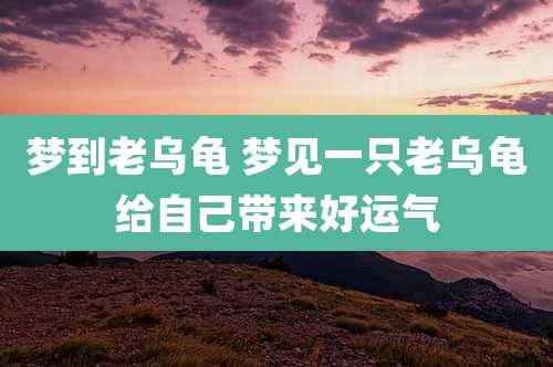梦到老乌龟 梦见一只老乌龟给自己带来好运气