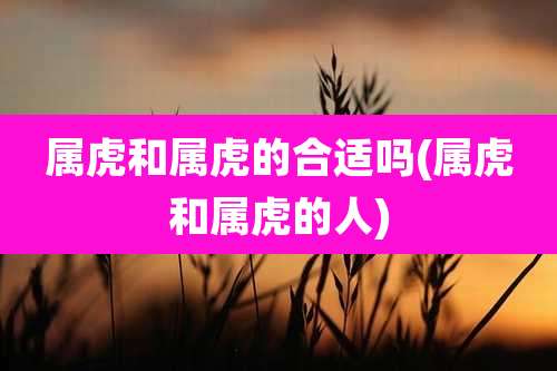 属虎和属虎的合适吗(属虎和属虎的人)