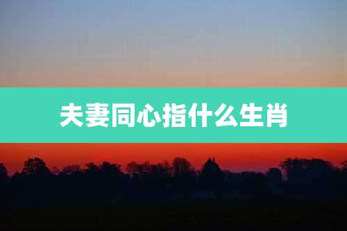 夫妻同心指什么生肖