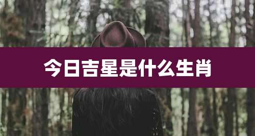 今日吉星是什么生肖