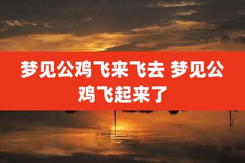 梦见公鸡飞来飞去 梦见公鸡飞起来了