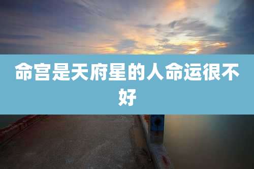 命宫是天府星的人命运很不好