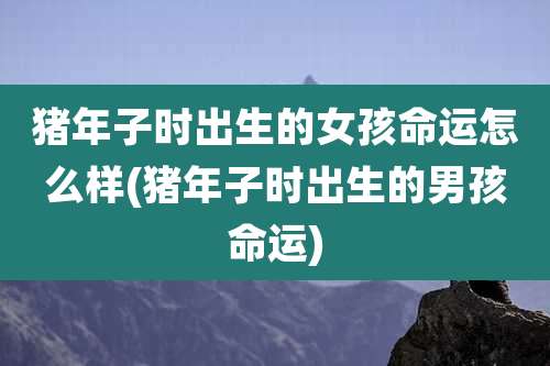 猪年子时出生的女孩命运怎么样(猪年子时出生的男孩命运)