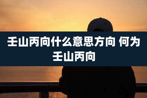 壬山丙向什么意思方向 何为壬山丙向