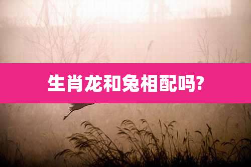 生肖龙和兔相配吗?