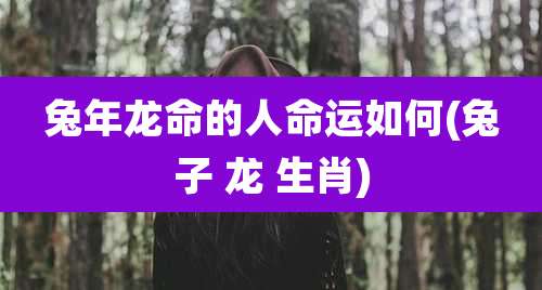 兔年龙命的人命运如何(兔子 龙 生肖)