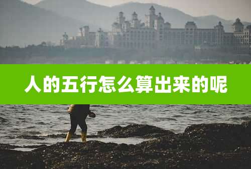 人的五行怎么算出来的呢