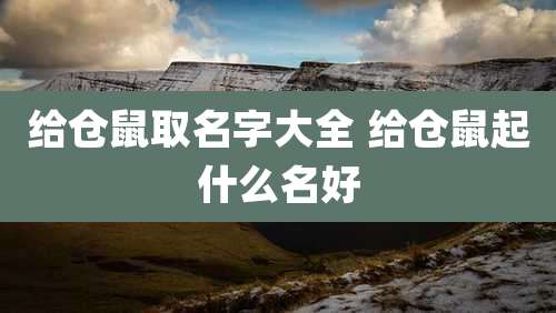 给仓鼠取名字大全 给仓鼠起什么名好