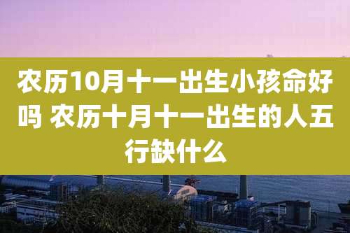 农历10月十一出生小孩命好吗 农历十月十一出生的人五行缺什么