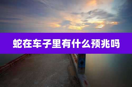 蛇在车子里有什么预兆吗