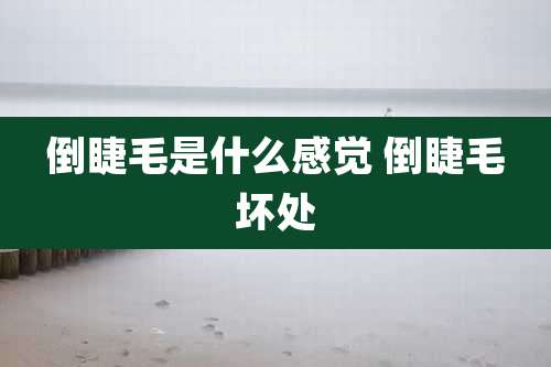 倒睫毛是什么感觉 倒睫毛坏处