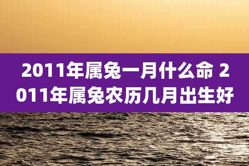 2011年属兔一月什么命 2011年属兔农历几月出生好