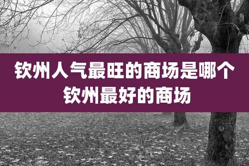 钦州人气最旺的商场是哪个 钦州最好的商场