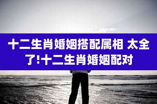 十二生肖婚姻搭配属相 太全了!十二生肖婚姻配对