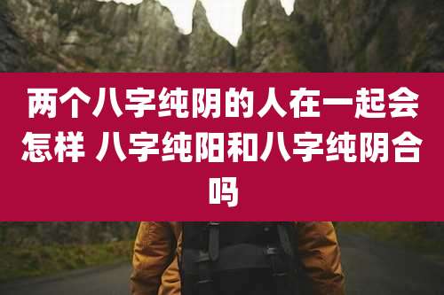 两个八字纯阴的人在一起会怎样 八字纯阳和八字纯阴合吗