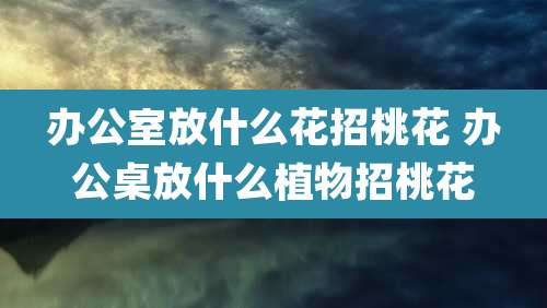 办公室放什么花招桃花 办公桌放什么植物招桃花
