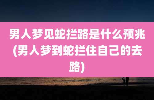男人梦见蛇拦路是什么预兆(男人梦到蛇拦住自己的去路)