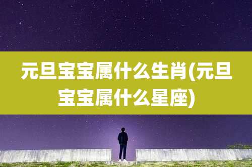 元旦宝宝属什么生肖(元旦宝宝属什么星座)