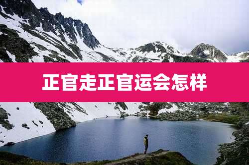 正官走正官运会怎样