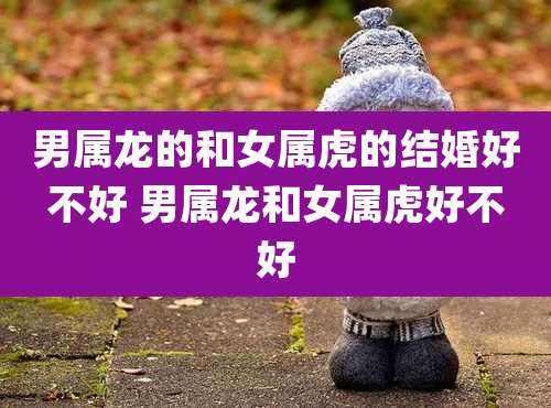 男属龙的和女属虎的结婚好不好 男属龙和女属虎好不好