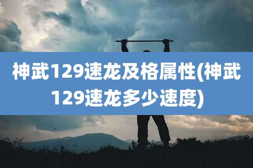 神武129速龙及格属性(神武129速龙多少速度)