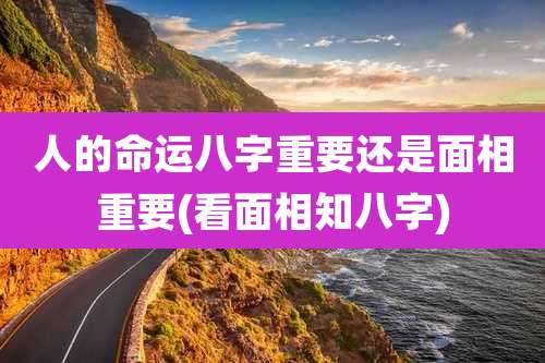 人的命运八字重要还是面相重要(看面相知八字)