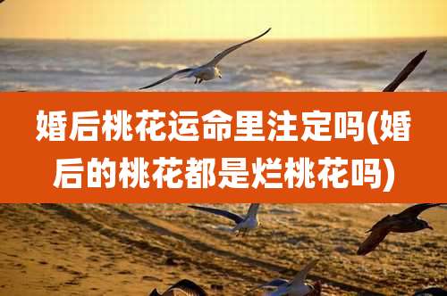 婚后桃花运命里注定吗(婚后的桃花都是烂桃花吗)