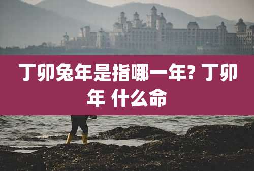 丁卯兔年是指哪一年? 丁卯年 什么命