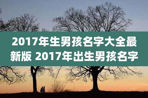 2017年生男孩名字大全最新版 2017年出生男孩名字