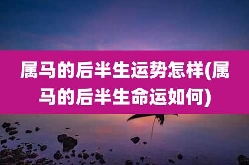 属马的后半生运势怎样(属马的后半生命运如何)