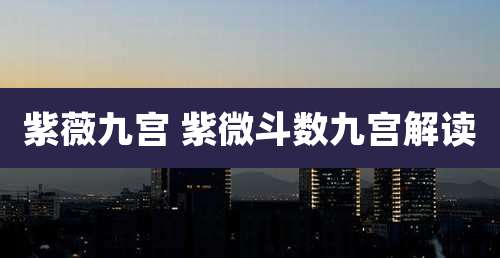 紫薇九宫 紫微斗数九宫解读